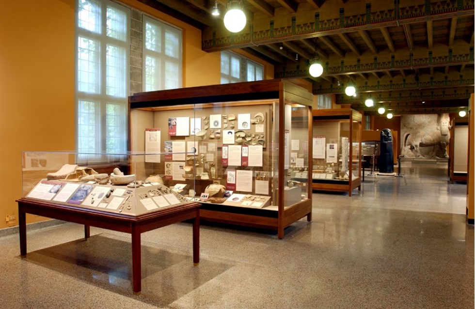 hahabet星辰大海官方网站-妄想从这里起头