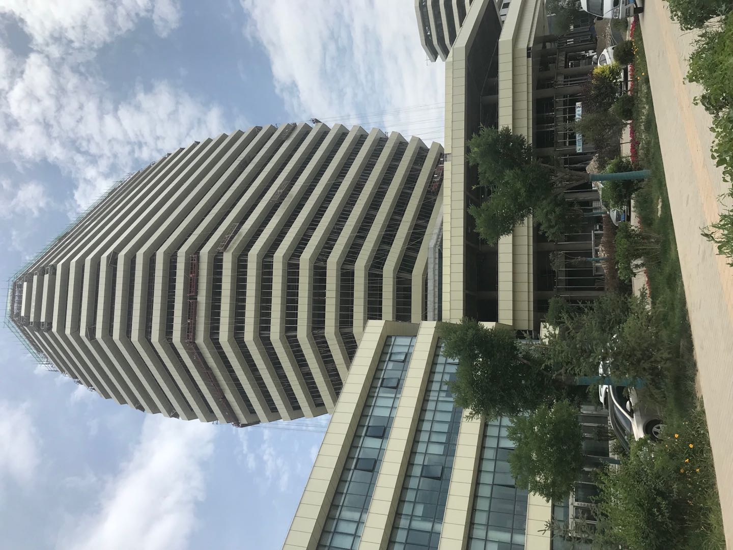 bd1e543e9adc446891af054ca76e7e92